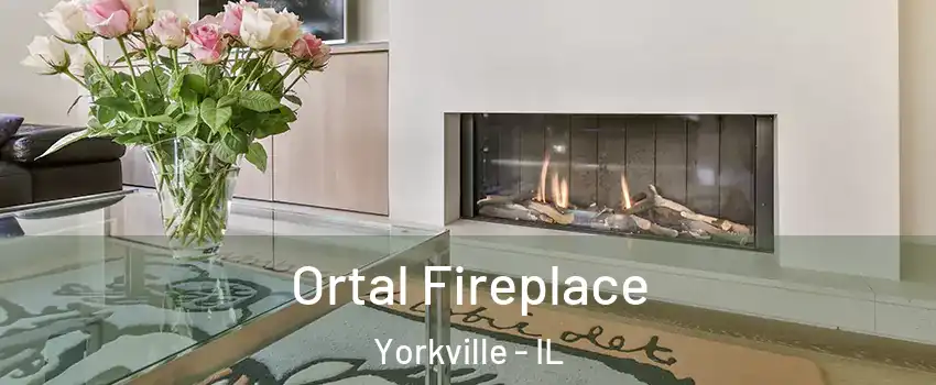  Ortal Fireplace Yorkville - IL